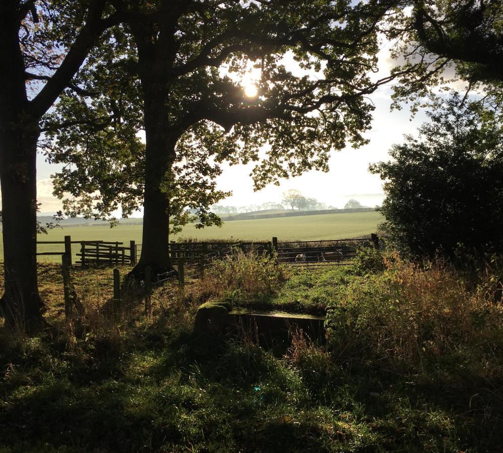 Hayloft Cottage Durham Buitenkant foto